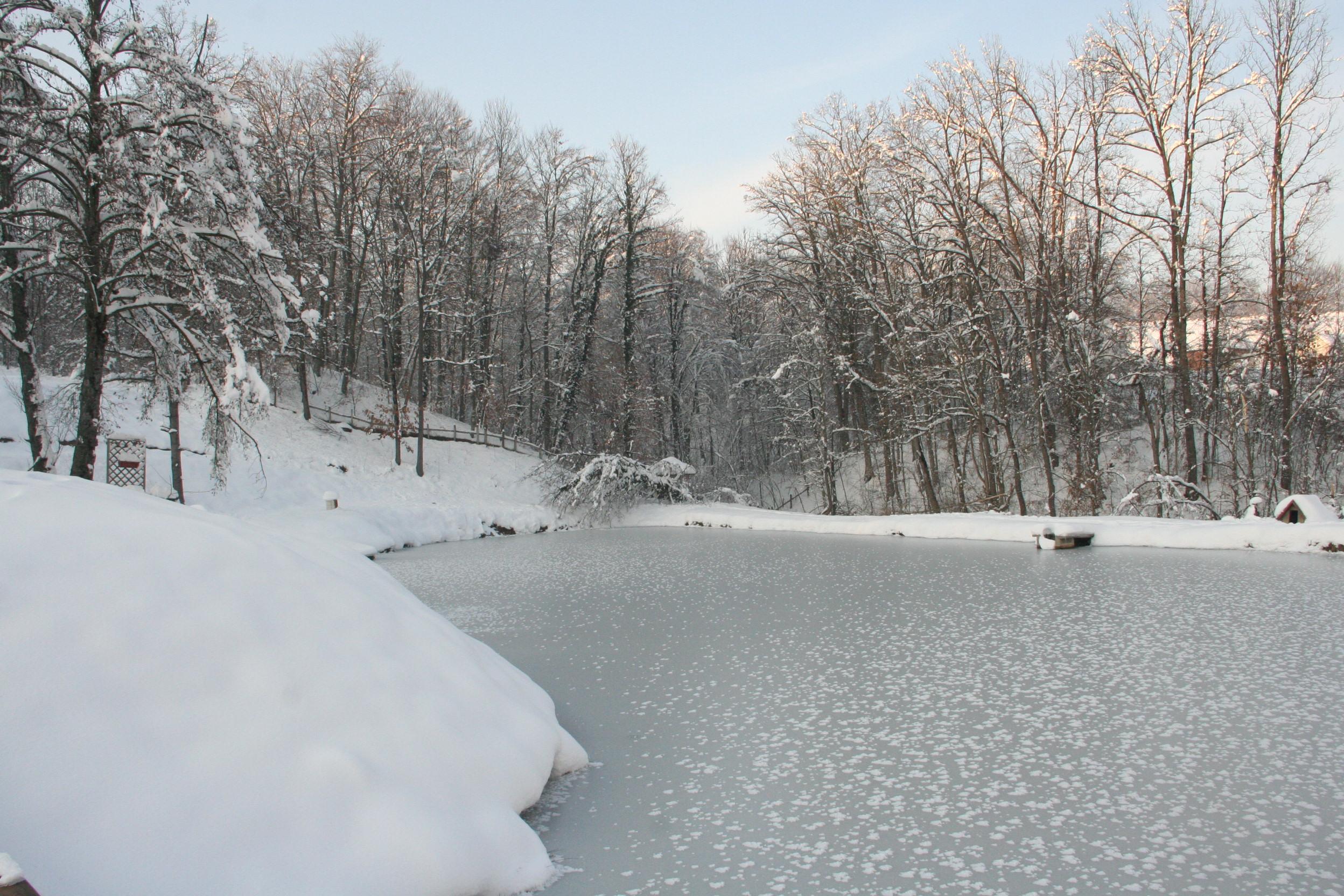 Januar- mesec tišine koja greje